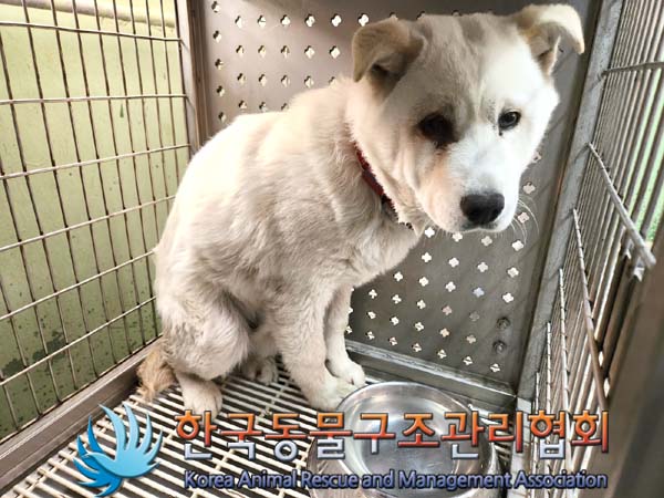 한국동물구조관리협회_441409202400315